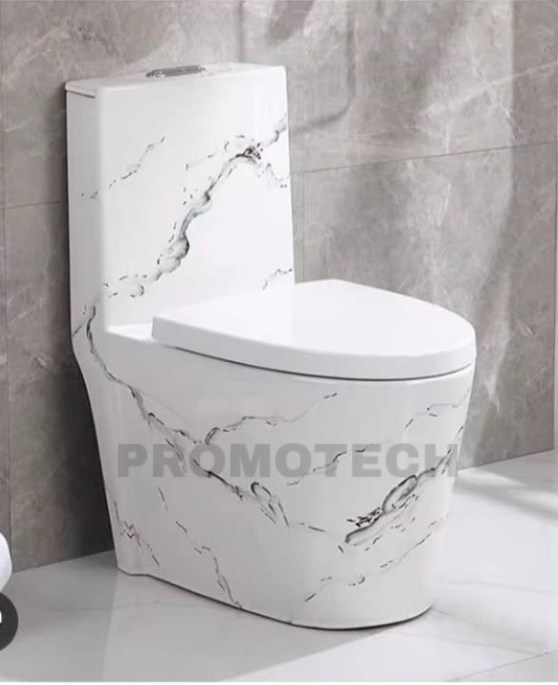 WC Monobloc Blanc